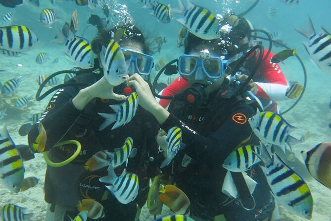 Boracay PADI Discover Scuba Diving - What To Expect