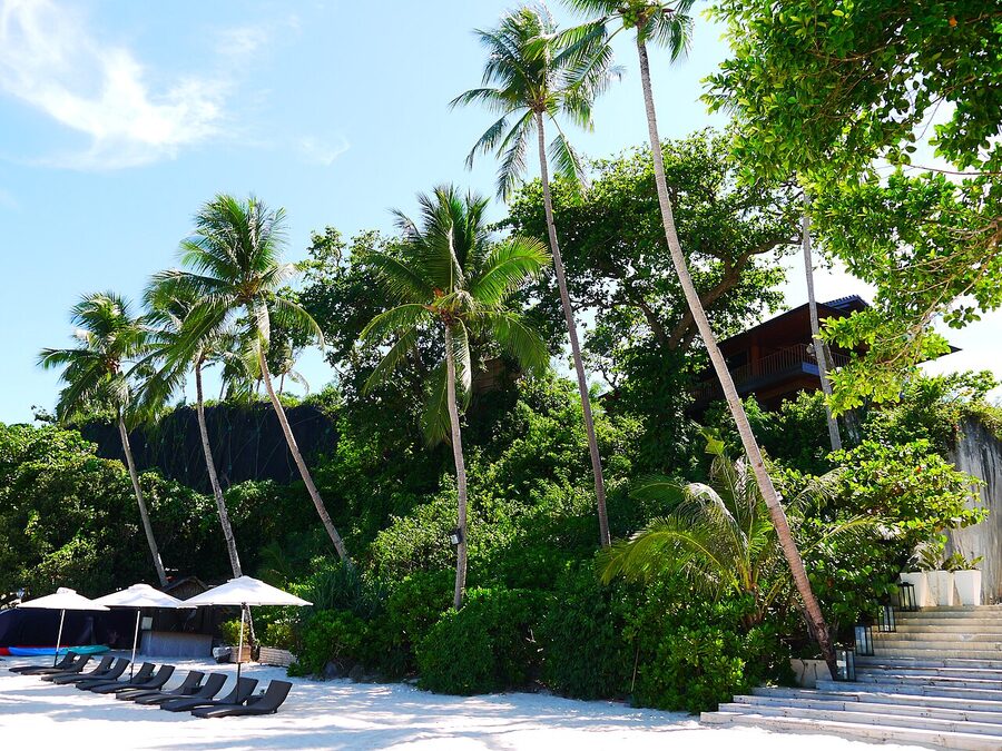 Boracay Station 3 south end of White Beach with palm trees