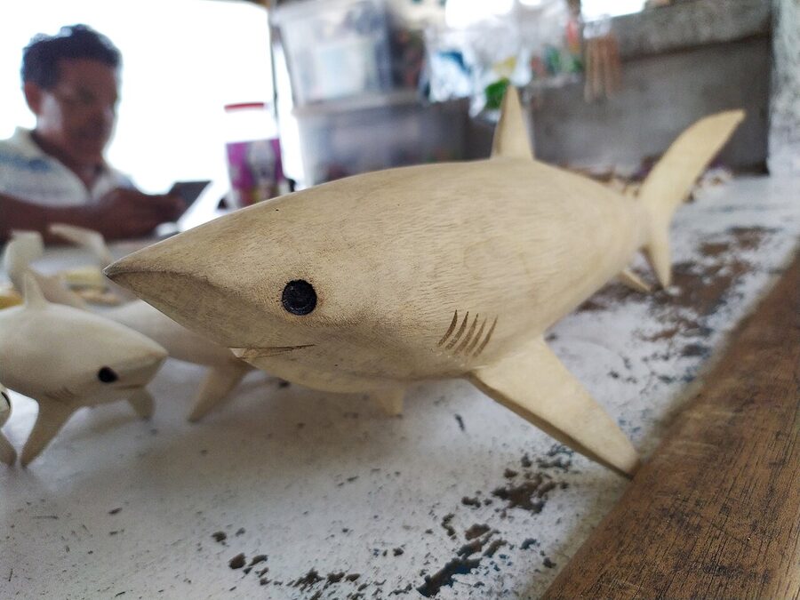 Pelagic thresher shark at Monad Shoal, Malapascua