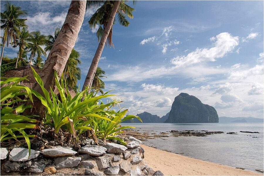 Pinagbuyutan Island near El Nido, a limestone island fringed with coconut palms and white sand
