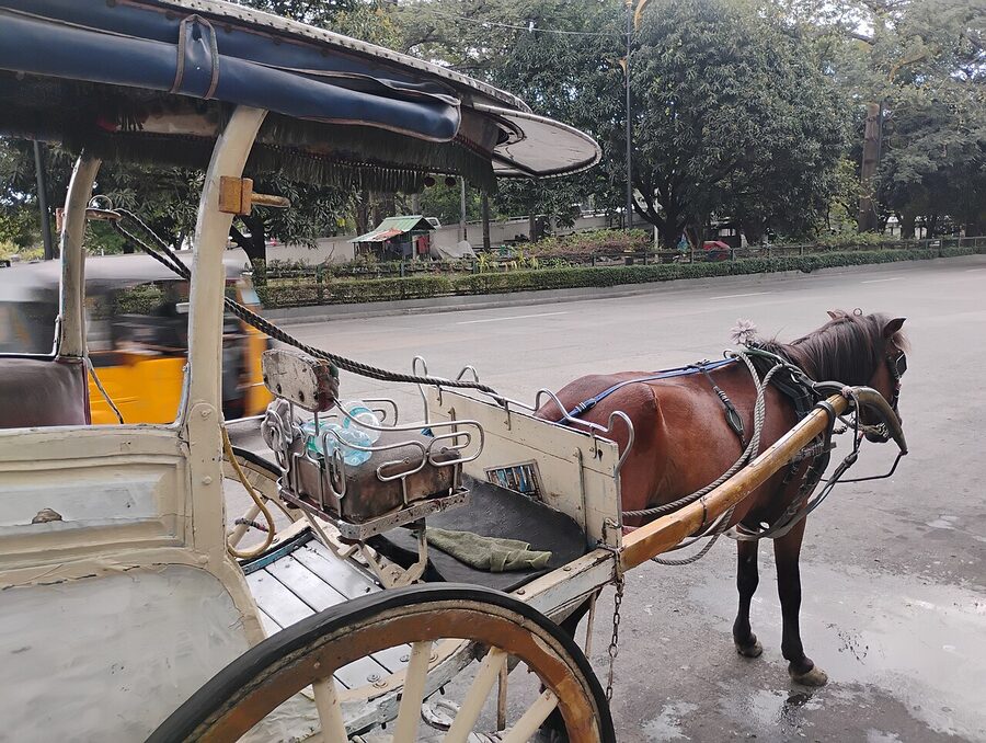 A horse-drawn kalesa parked at Intramuros in Manila