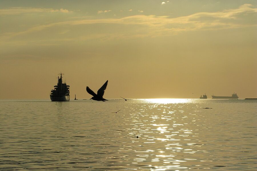 Manila Bay at sunset with silhouetted bird and cargo ship on the water