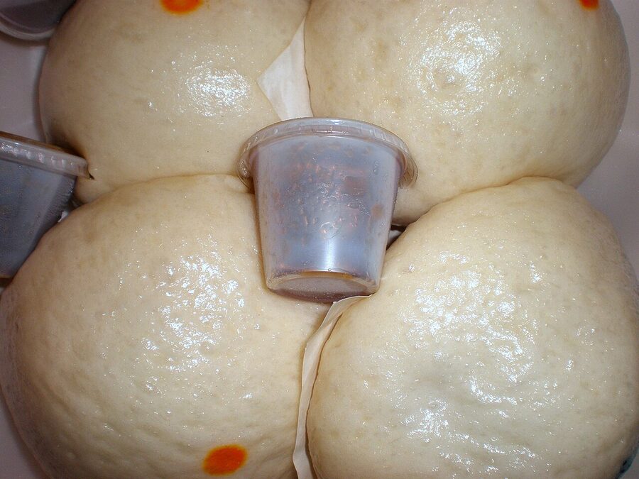 Four large white steamed siopao buns with a small clear cup of dipping sauce in the centre