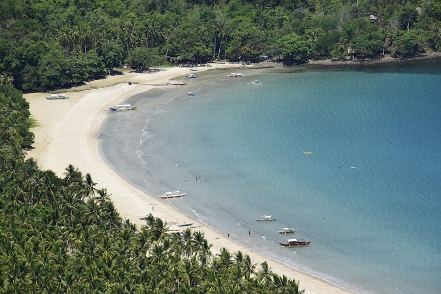 Aerial view of Nagtabon Beach in Puerto Princesa with white sand and turquoise water