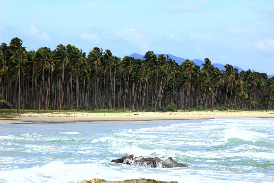 Long stretch of white sand beach with palm trees in San Vicente, Palawan
