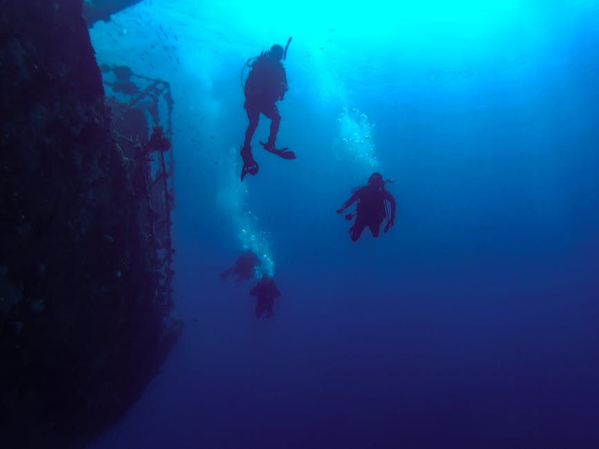 Scuba divers exploring an underwater shipwreck silhouetted in deep blue water