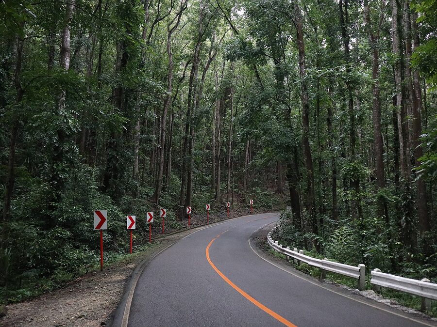 Bilar Man-made Forest mahogany corridor road Bohol