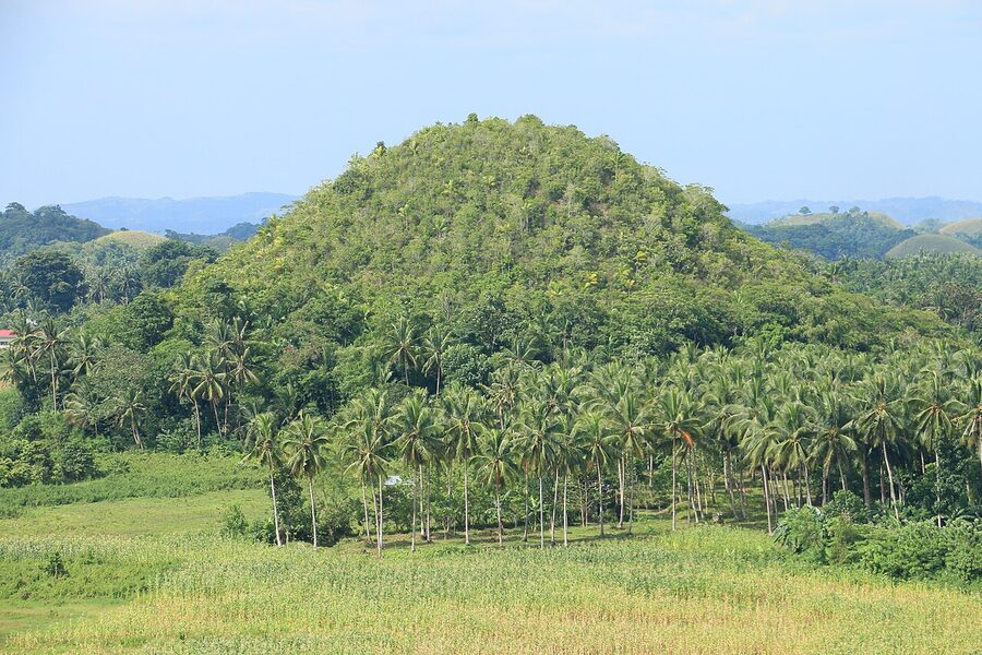 Chocolate Hills viewed from Sagbayan Peak at sunset Bohol