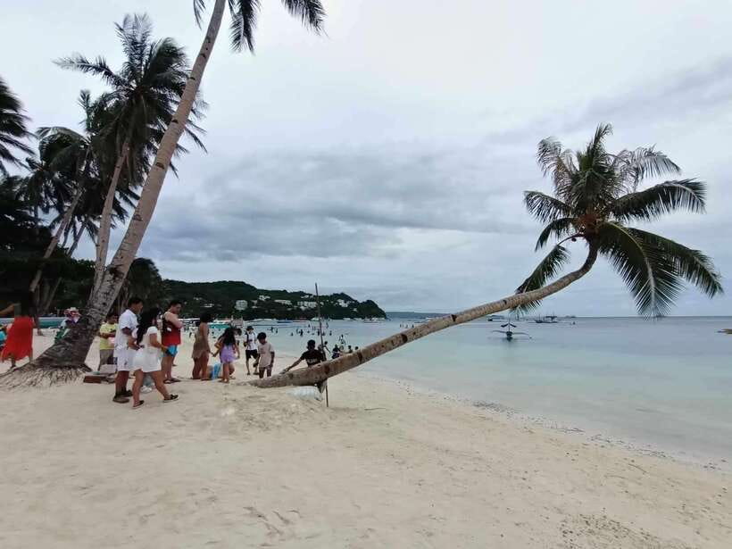 2-Hour Boracay Land Tour via Etrike - Bakawan mangroves: a different side of Boracay