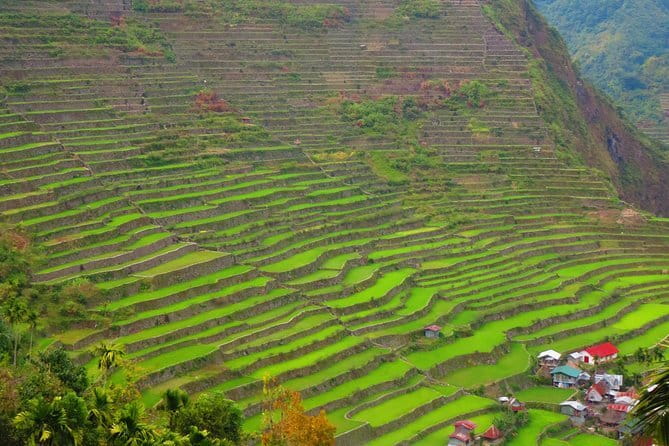 8-Day Palawan, Boracay & Cebu Islands in the Philippines Package - Day 4: Cebu City and Tops Lookout