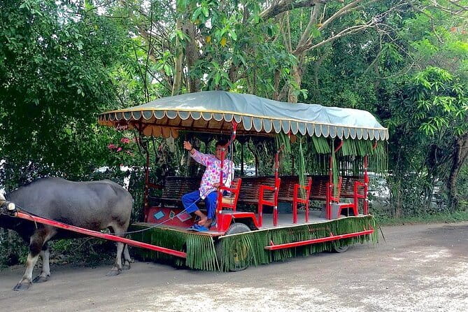 A Day in Paradise at Villa Escudero Coconut Plantation Adventure - Key points to know before booking
