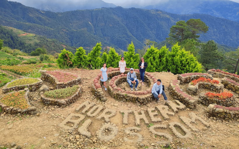 Baguio Atok Flower Blossoms (Private Tour) - What this Atok flower trip is really about