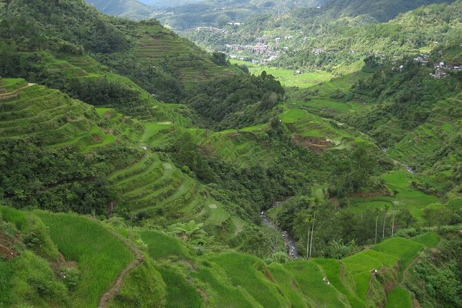 Banaue-Hapao Rice Terraces (Car Rental W/ Manila Tourist Driver) - Day two: Hapao terraces and a natural hot spring