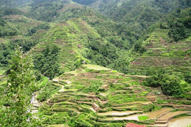 Banaue-Hapao Rice Terraces (Car Rental W/ Manila Tourist Driver)