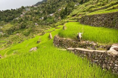 Batad Guided Tour - Miller and Bridgette bring the human side