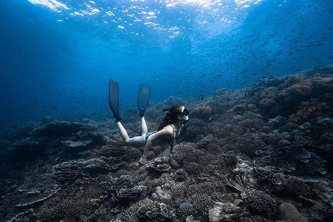 Beginner Freediving Course (with Bonus Session) - Five useful things to know before booking