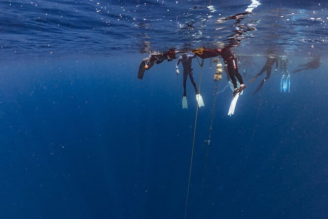 Beginner Freediving Course (with Bonus Session) - The instructors and the feel of the academy