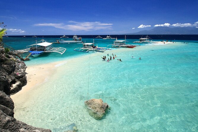 BEST OF CEBU:Oslob Whaleshark Encounter w Sandbar & Tumalog Falls - Oslob whale shark swimming