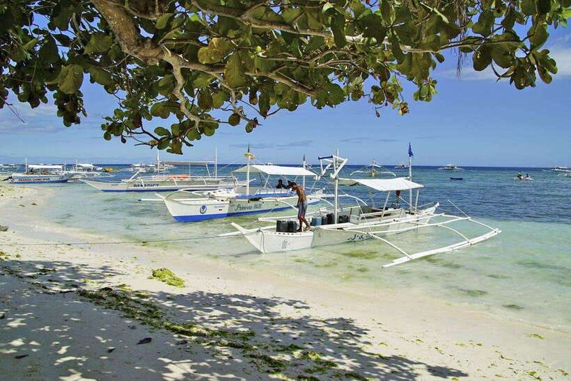 Bohol Balicasag Is Private Tour and Dolphin Watching - Key points at a glance