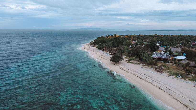 Bohol Balicasag Is Private Tour and Dolphin Watching - Balicasag Island, fish, and clear water
