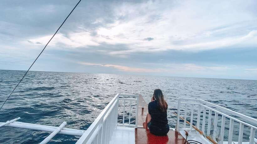 Bohol Balicasag Is Private Tour and Dolphin Watching - The early start and dolphin watching
