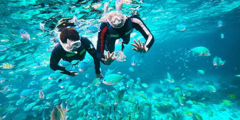 Bohol: Balicasag Private Island Hopping Tour - Balicasag Island and its famous turtles