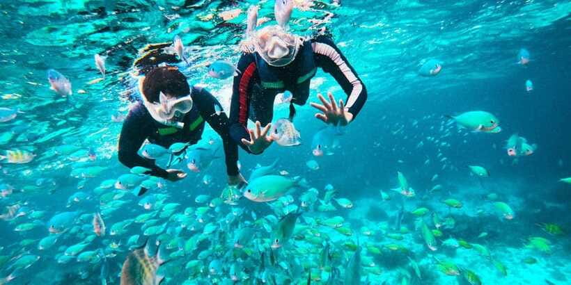 Bohol: Balicasag Private Island Hopping Tour - Should you book it?