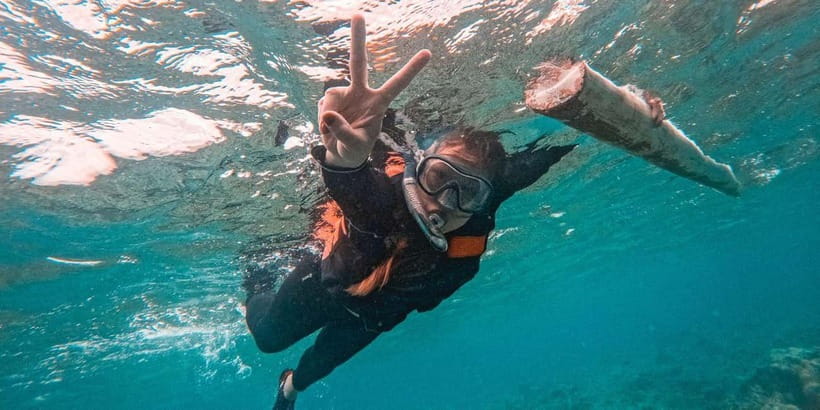 Bohol: Balicasag Shared Island Hopping Tour - Why this five-hour trip is worth considering