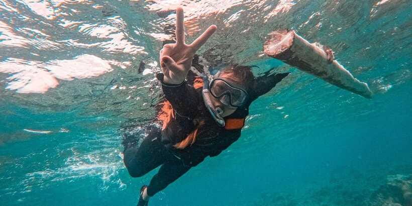 Bohol: Balicasag Shared Island Hopping Tour - Fish feeding, swimming, and the lunch gap
