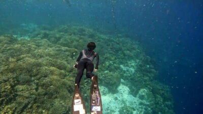 Bohol: Boat Tour to Sandbar and Snorkeling with Turtles - Getting from Panglao to the open sea