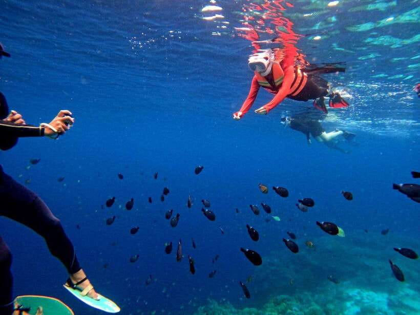 Bohol: Boat Tour to Sandbar and Snorkeling with Turtles - Is $51 good value?