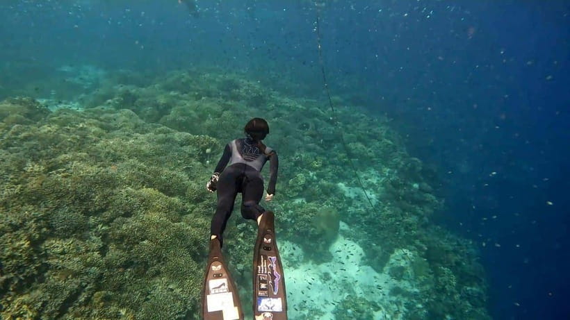 Bohol: Boat Tour to Sandbar and Snorkeling with Turtles - Getting from Panglao to the open sea