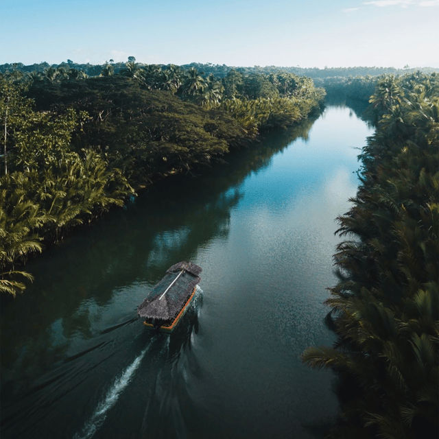Bohol: Choco Tour + Rio Verde Lunch Buffet - What your private driver handles