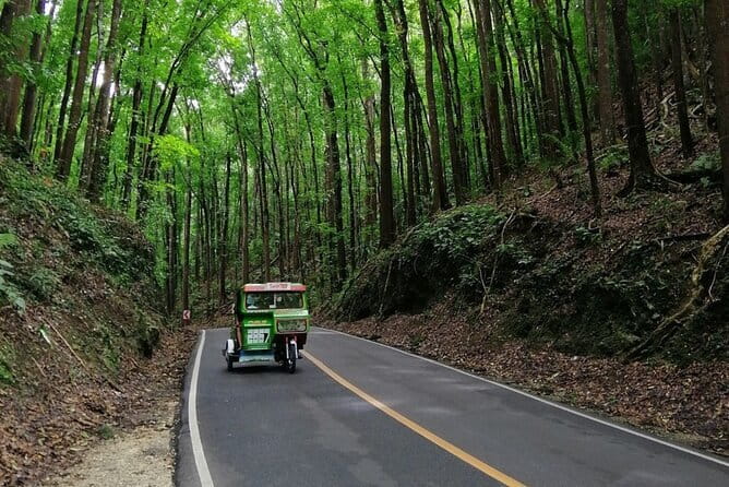 Bohol Choco Tour with Loboc River Lunch Buffet - The Man-made Forest: a quiet road through mahogany trees