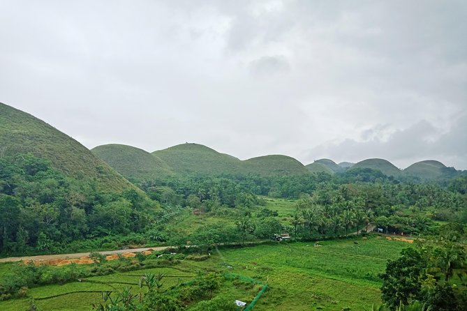 Bohol Chocolate hills and Waterfalls Ecotour - Seeing the Chocolate Hills from above