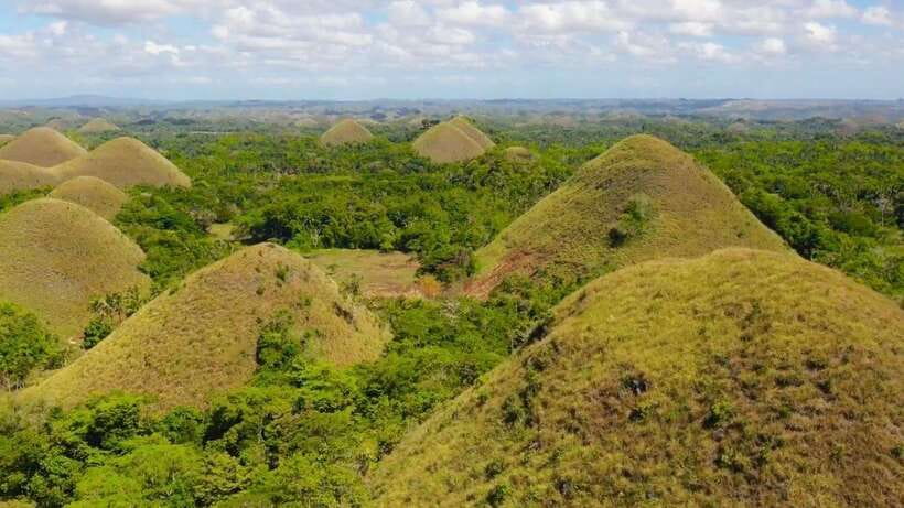 Bohol: Chocolate Hills, Loboc River Cruise, and Buffet Lunch - Why This Bohol Tour Works Well