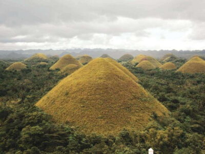 Bohol Chocolate hills Private Tour - Meeting Bohol’s Smallest Famous Residents