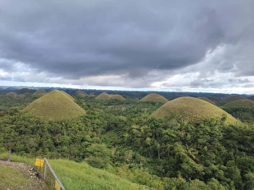 BOHOL: Chocolate Hills, Tarsiers and Loboc River Day Tour - A practical one-day introduction to Bohol