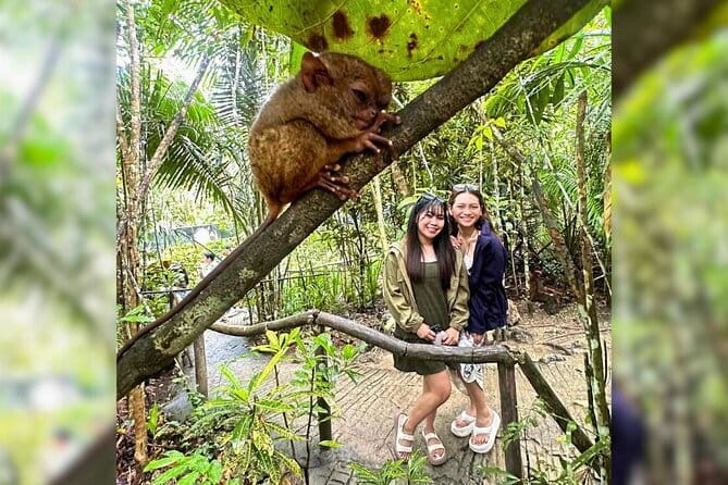 Bohol: Chocolate Hills, Tarsiers, & Loboc River Private Tour - Why this private Bohol tour works well