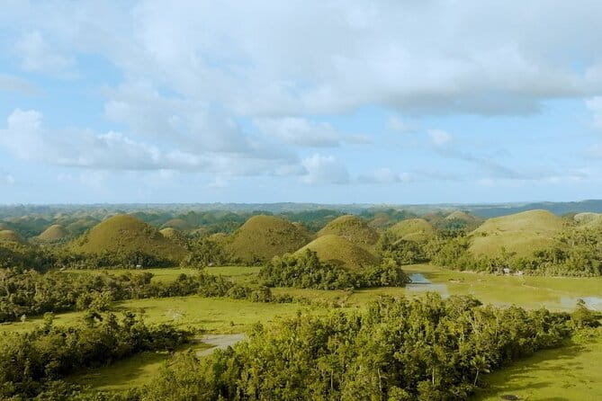 Bohol Chocolate Hills, Tarsiers & Loboc River Shared Tour - What the shared vehicle is really like