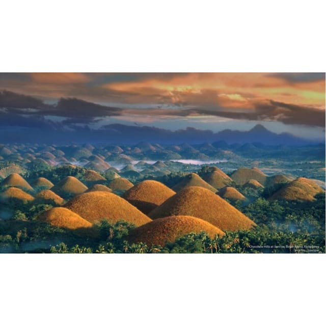 Bohol: Chocolate Hills Tour - The Man-Made Forest near Bilar