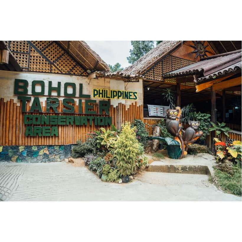 Bohol: Chocolate Hills Tour - Chocolate Hills: the day’s main event