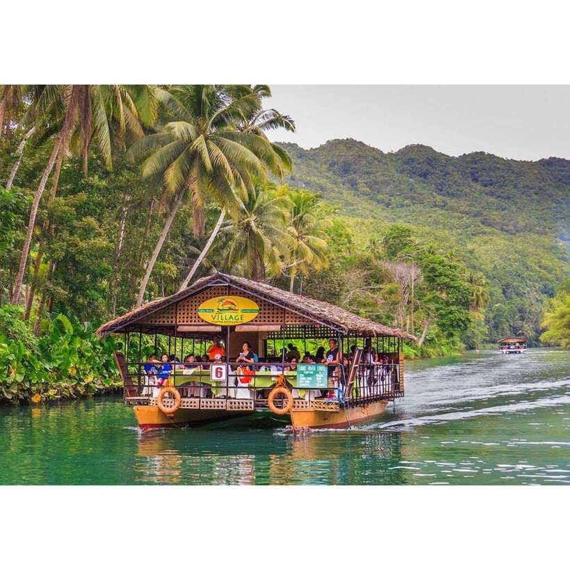 Bohol: Chocolate Hills Tour - Tarsier Sanctuary: quiet behavior matters here