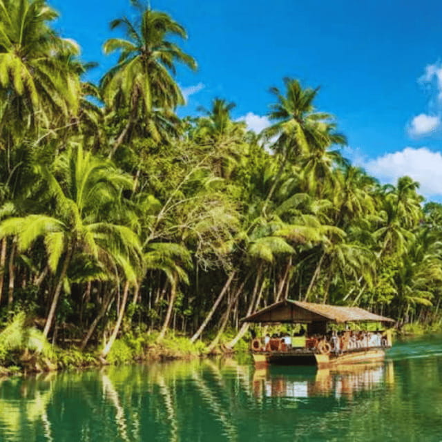 Bohol: Chocolate Hills Tour with Loboc River Cruise & Lunch - What this Bohol day tour is really like