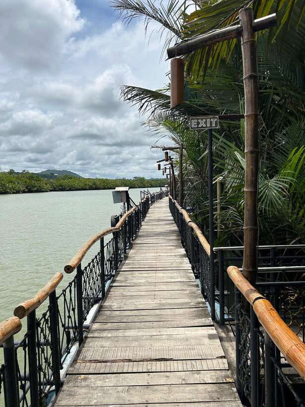 Bohol: Chocolate Hills Tour with Loboc River Cruise & Lunch - From Panglao to Bohol’s inland sights