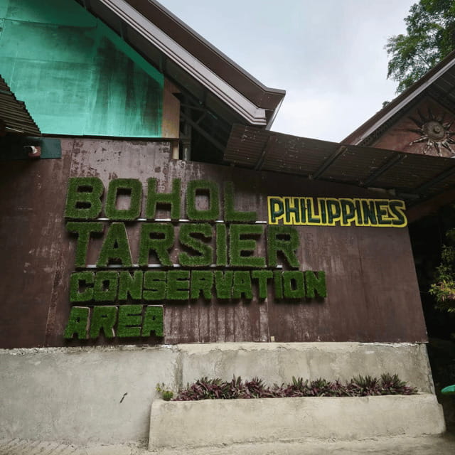 Bohol Chocolate Hills Tour with Loboc River Lunch Buffet - Key things to know before booking