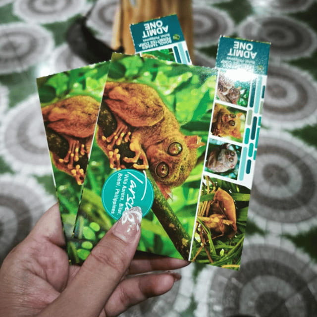 Bohol Chocolate Hills Tour with Loboc River Lunch Buffet - The Man-Made Forest in a 15-minute photo stop