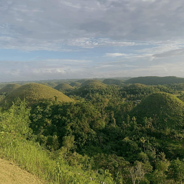 Bohol Chocolate Hills Tour with Loboc River Lunch Buffet - Tarsier Sanctuary: a quiet wildlife encounter