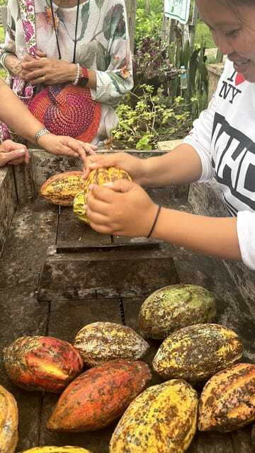 Bohol Chocolate Making and Farm Tour - Roasting, moulding, and making your own sweets