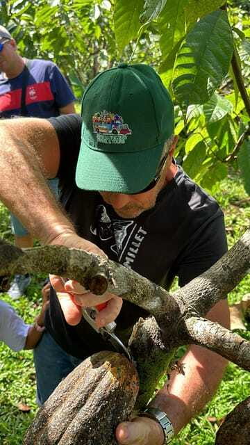 Bohol Chocolate Making and Farm Tour - Is this suitable for children?